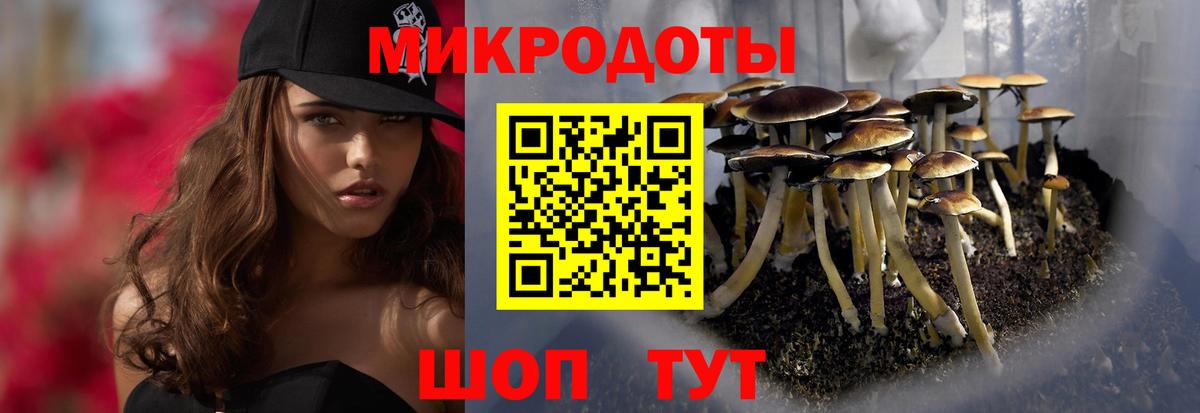 Псилоцибиновые грибы ЛСД  Галлюциногенные грибы MAGIC MUSHROOMS  Камышлов  Вход с VPN 