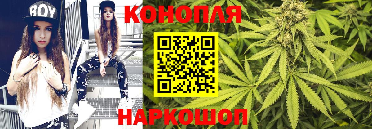 Конопля планчик  Шишки марихуана гибрид  Вход с VPN  Бошки Шишки семена  Камышлов 